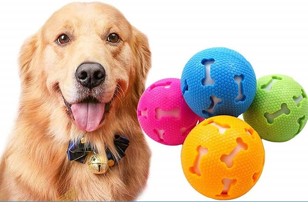 اسباب بازی برای سگ خانگی