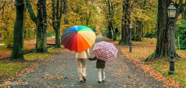 خرید چتر ارزان قیمت