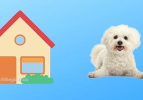 خانه سگ: خرید و قیمت لانه سگ و گربه (چوبی، پلاستیکی...)